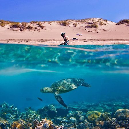 Tortuga Dafni Bay Villas Diver'S Paradise By "Elite" Vasilikí Zewnętrze zdjęcie