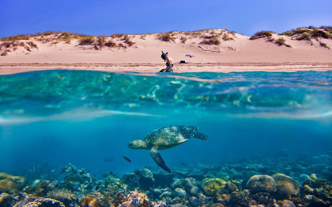 Tortuga Dafni Bay Villas Diver'S Paradise By "Elite" Vasilikí Zewnętrze zdjęcie