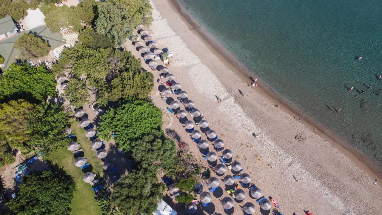 Tortuga Dafni Bay Villas Diver'S Paradise By "Elite" Vasilikí Zewnętrze zdjęcie