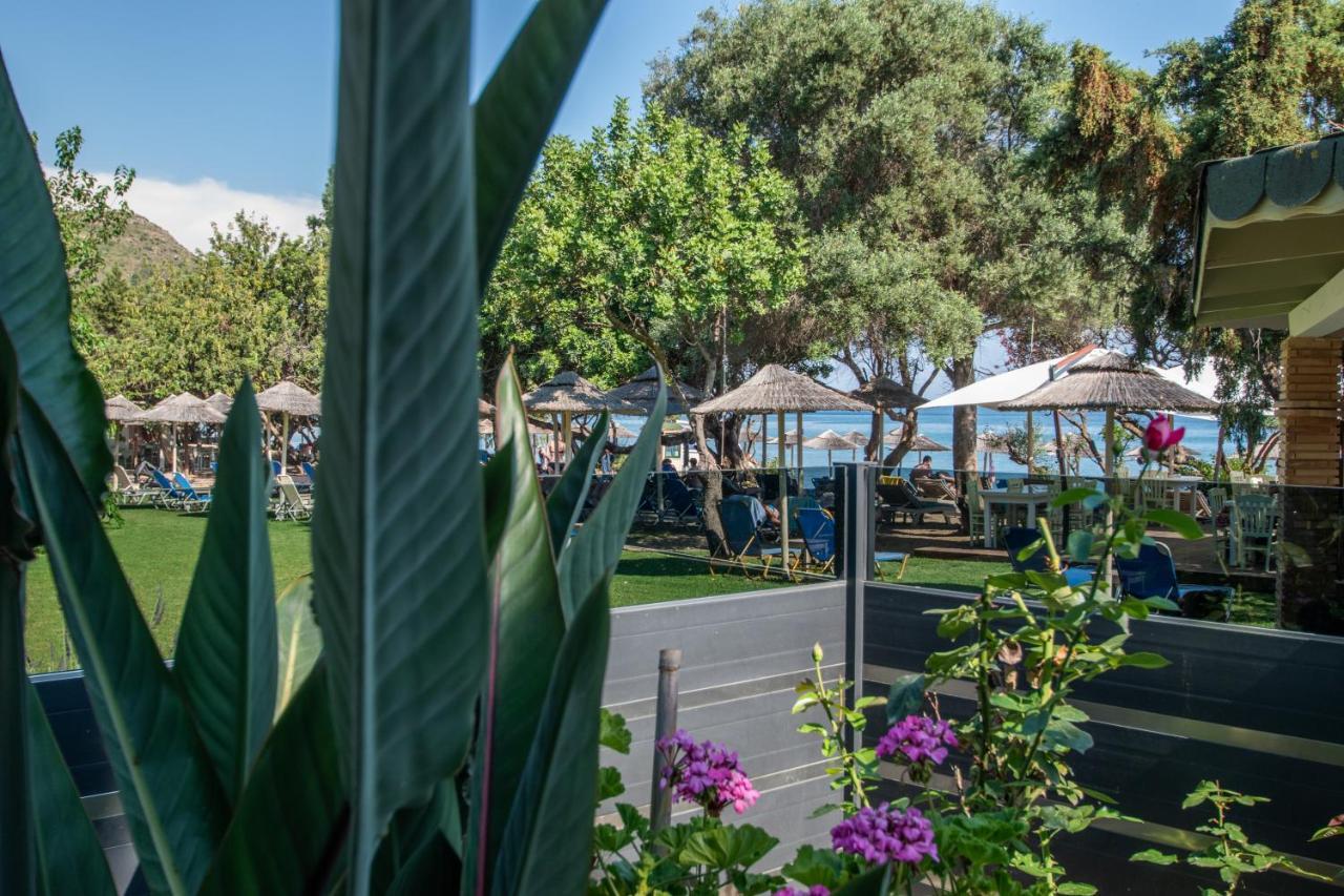 Tortuga Dafni Bay Villas Diver'S Paradise By "Elite" Vasilikí Zewnętrze zdjęcie
