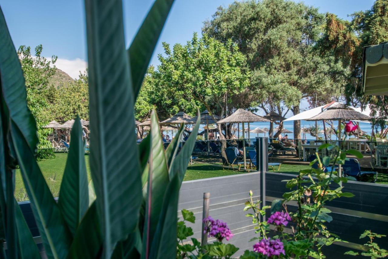 Tortuga Dafni Bay Villas Diver'S Paradise By "Elite" Vasilikí Zewnętrze zdjęcie